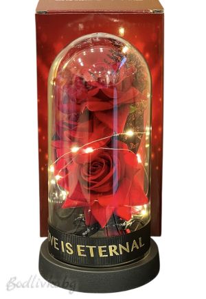 Рози в стъкленица, светеща, 22см.